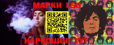 шишки Заволжье