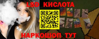 шишки Заволжье