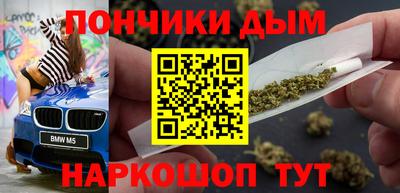 шишки Заволжье