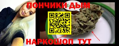 шишки Заволжье