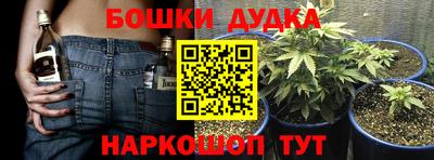 шишки Заволжье