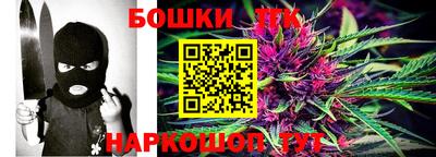 шишки Заволжье