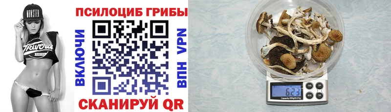 Галлюциногенные грибы GOLDEN TEACHER Новоуральск