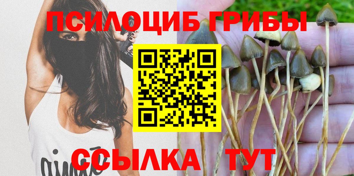 Псилоцибиновые грибы мухоморы Новоуральск